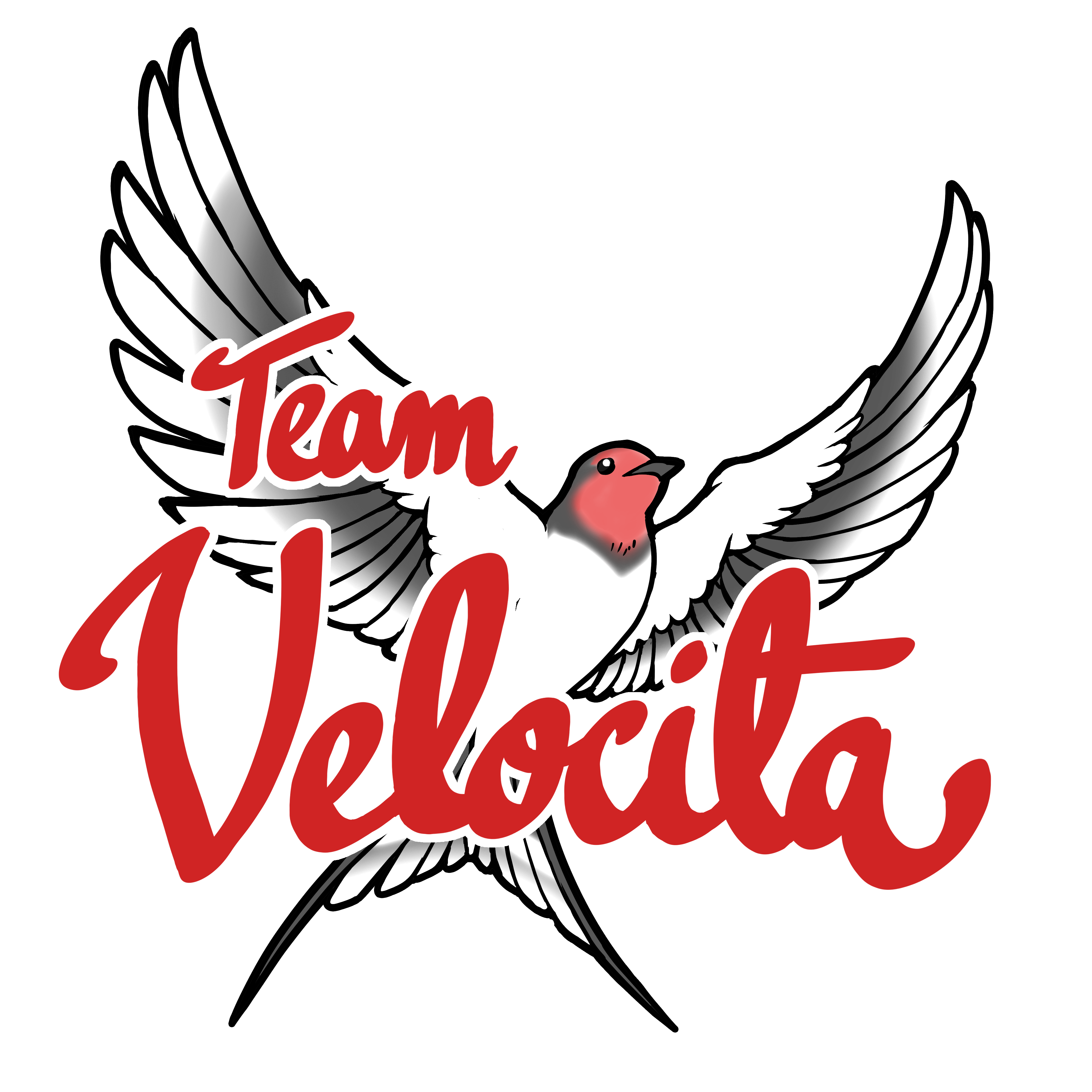 Team Velocita Logo, a swallow bird with its wings spread out